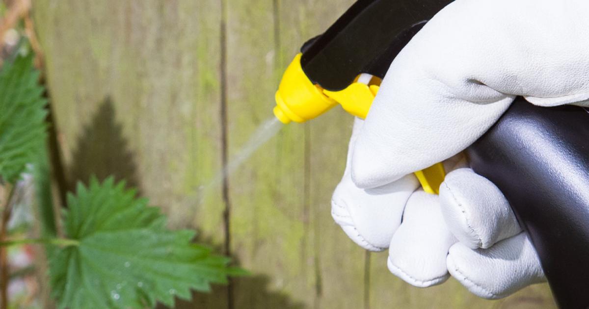 weeds treat lovethegarden