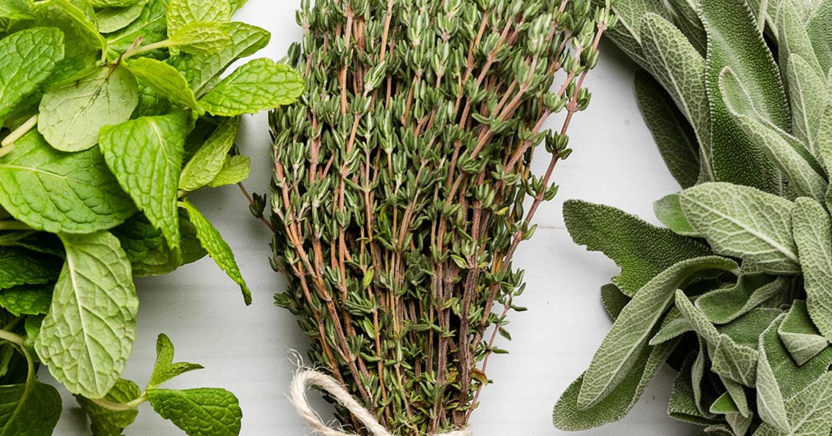 15 Popular Herb Myths Debunked | Love The Garden