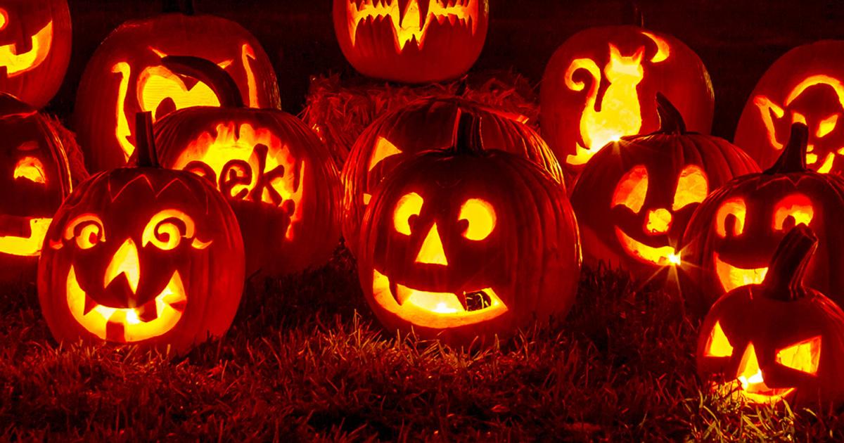 Faire Citrouille Halloween La Pause Jardin Creer Un Citrouille D Halloween Faire Citrouille Halloween La Pause Jardin Creer Un Citrouille D Halloween