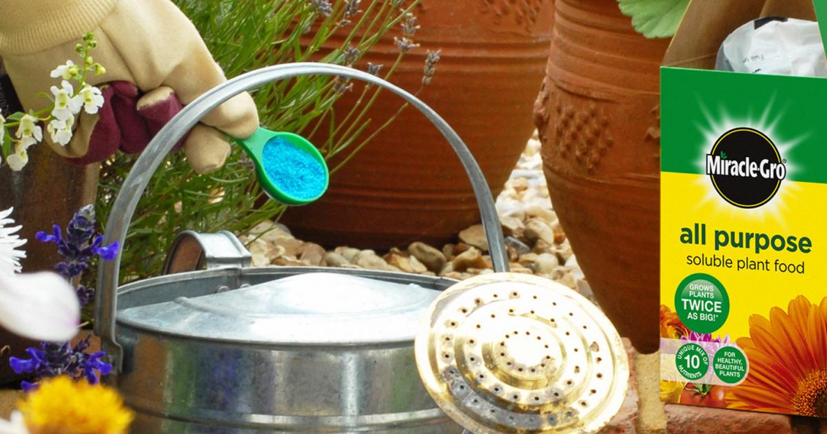 How does a fertiliser work? | Love The Garden