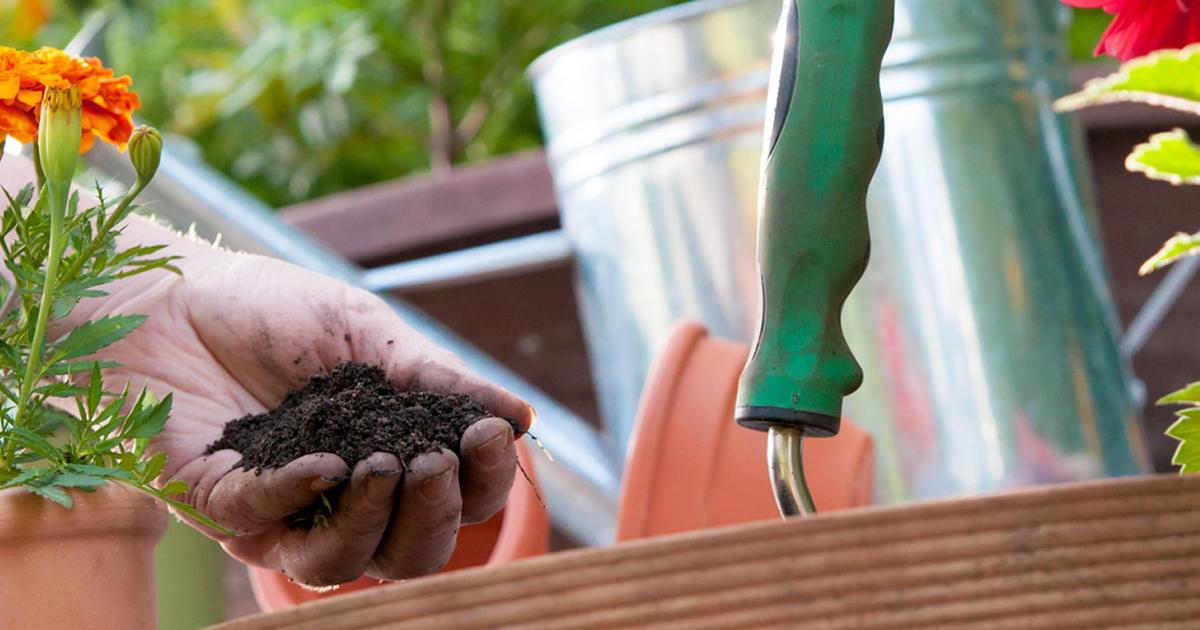 Add value to your house improve the garden Love The Garden