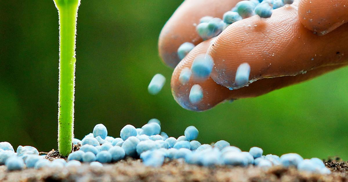 Les différents types d'engrais: engrais bio, minéraux et organiques