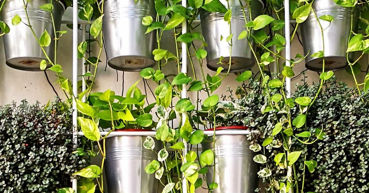 Vertical Gardening Ideas Love The Garden