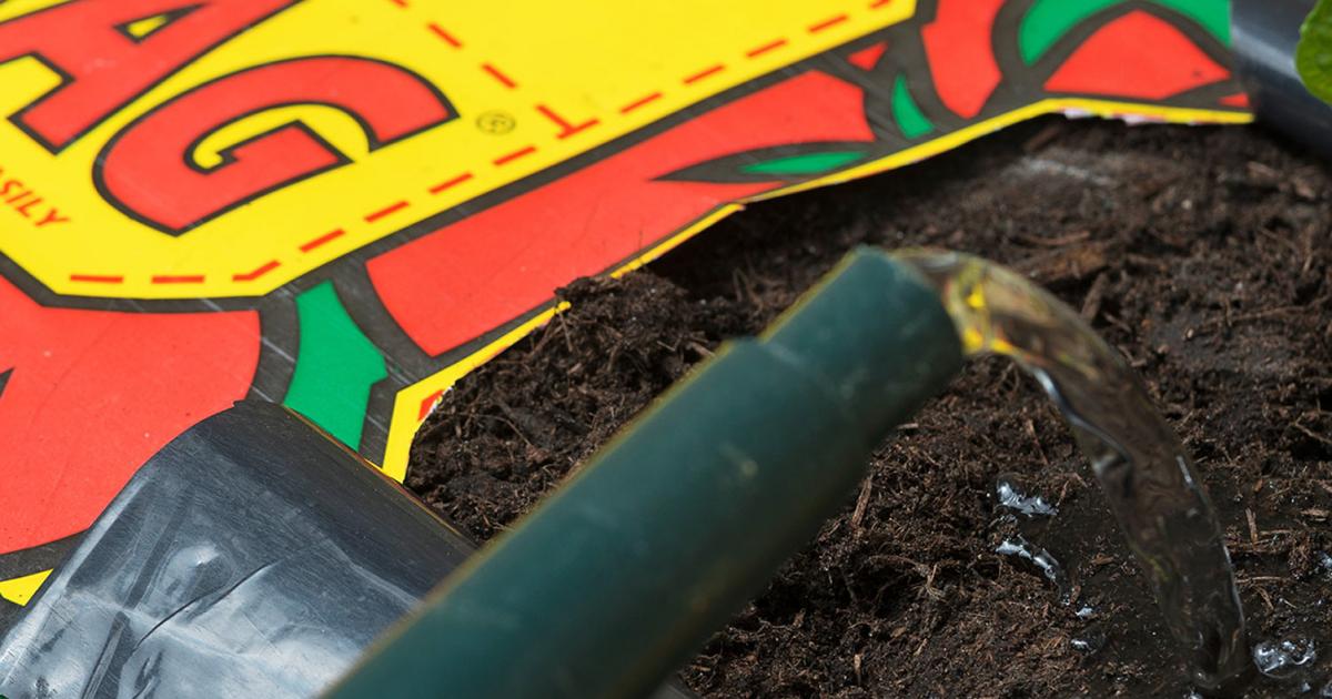 Grobags and grosacs what to plant Love The Garden