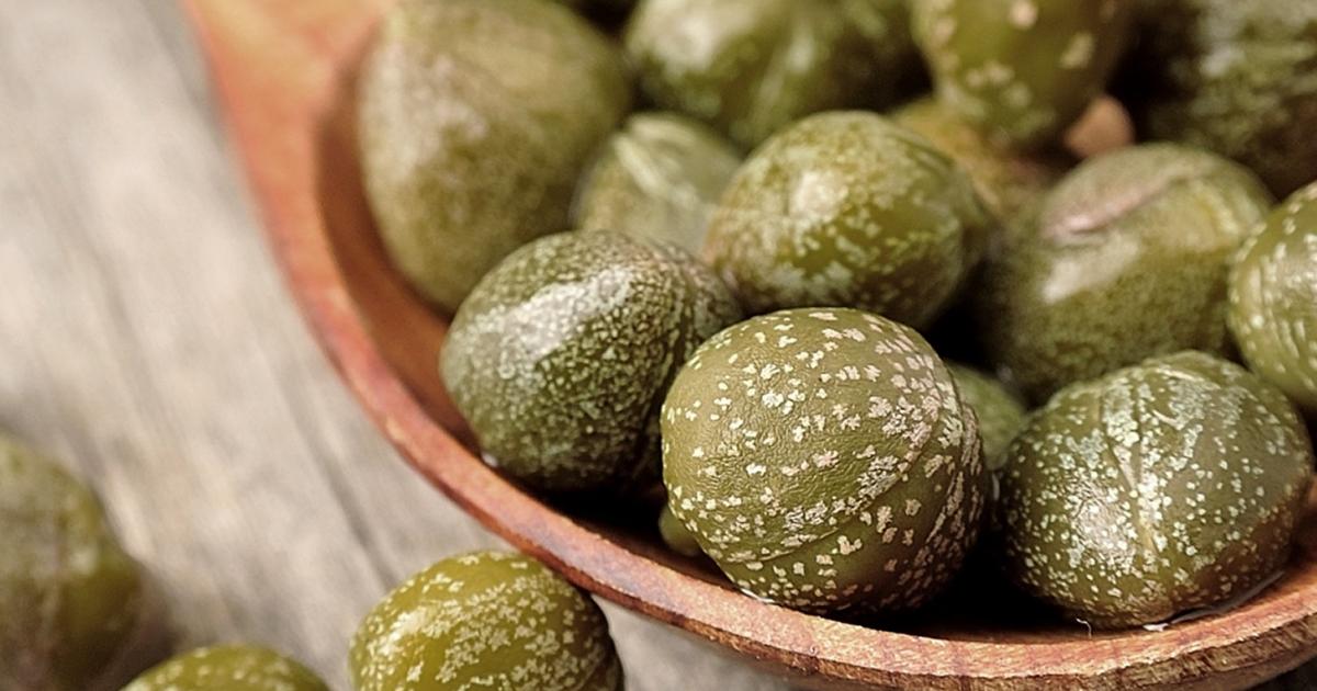 How To Grow and Care For Capers | Love The Garden