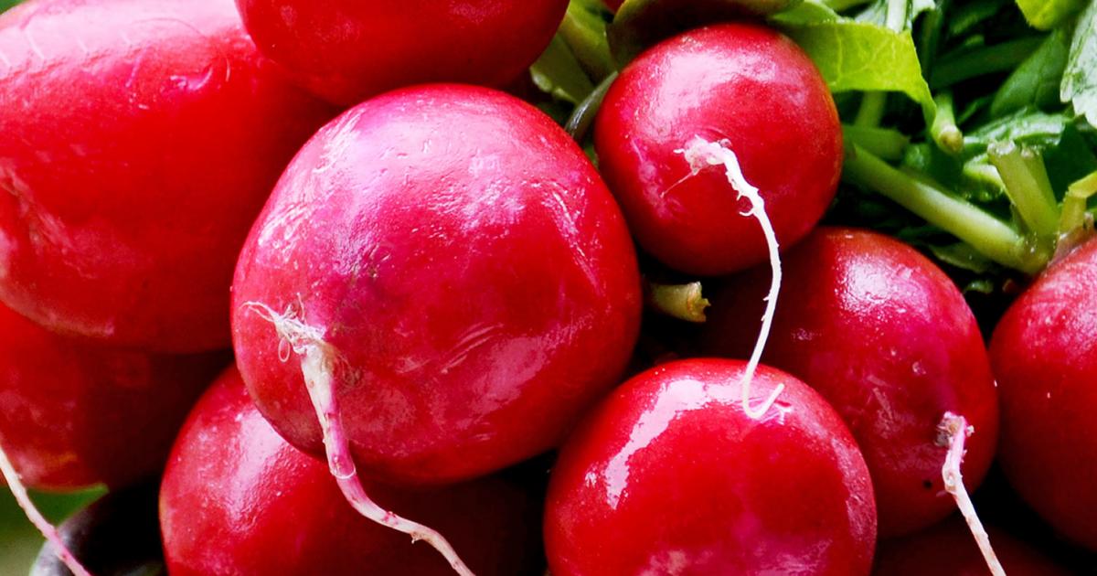 How to grow and care for radishes Love The Garden