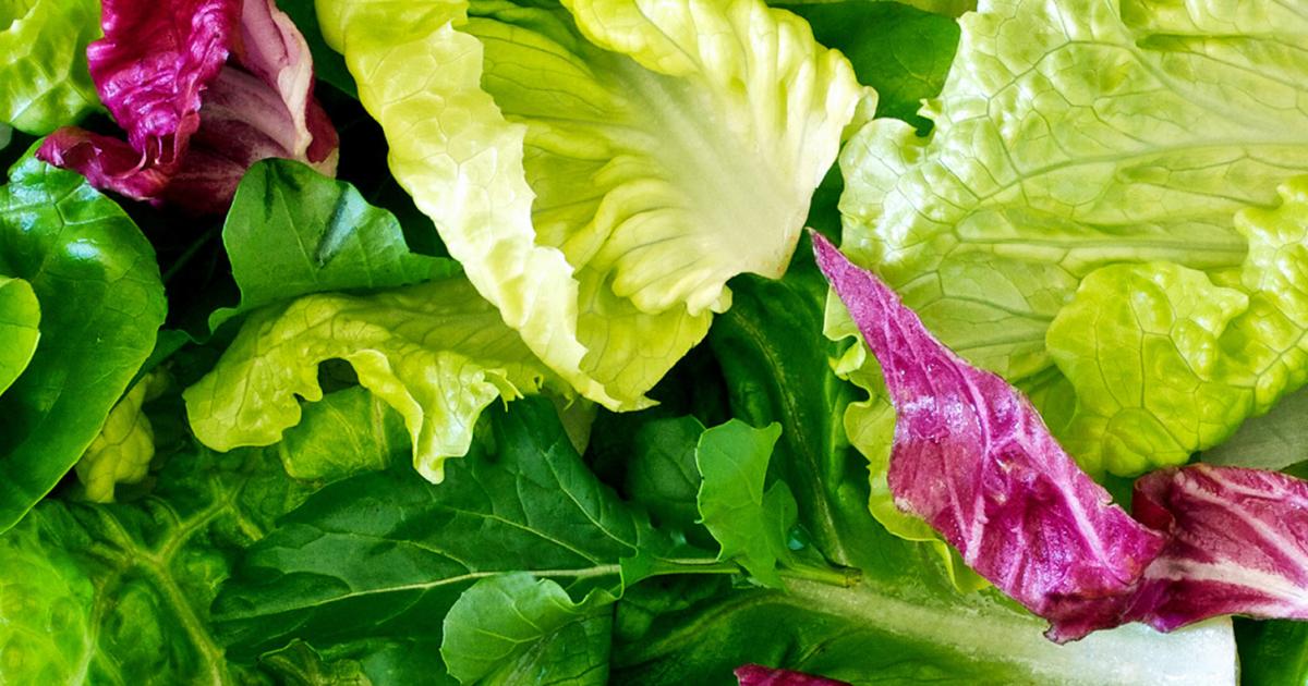 How to grow and care for salad leaves | lovethegarden