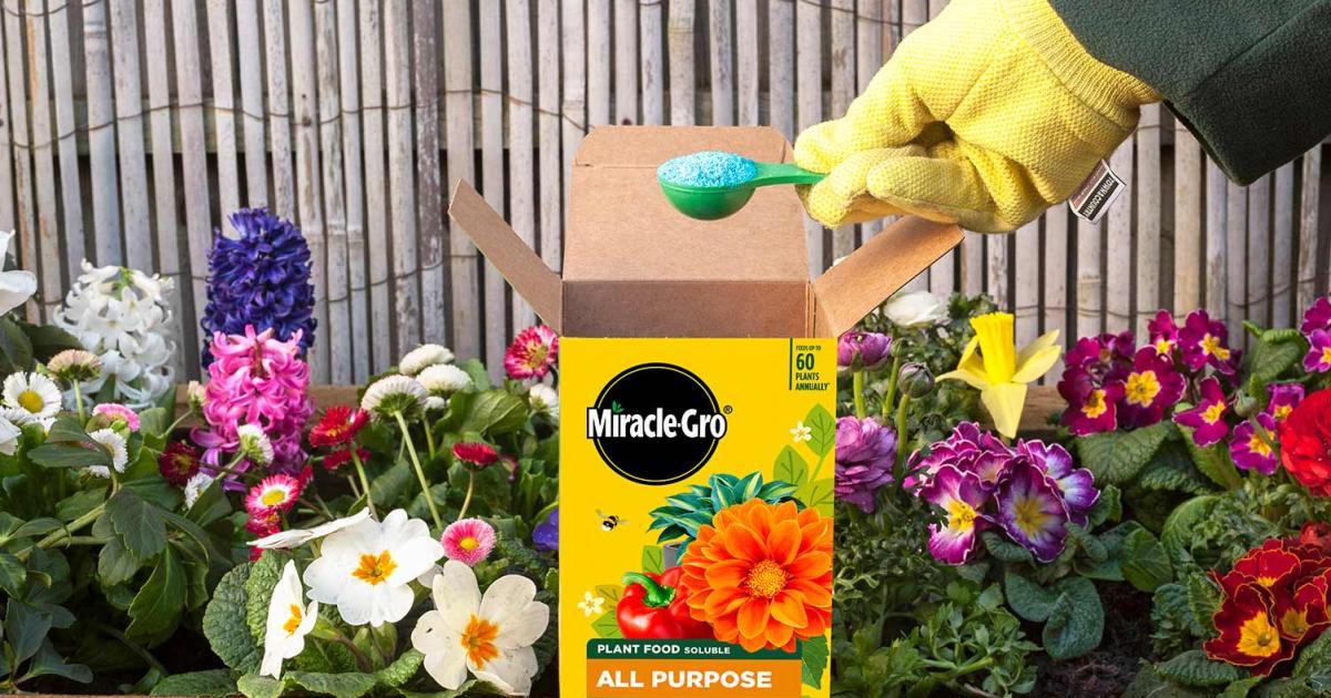 How fertilisers work and which is the best for your plants