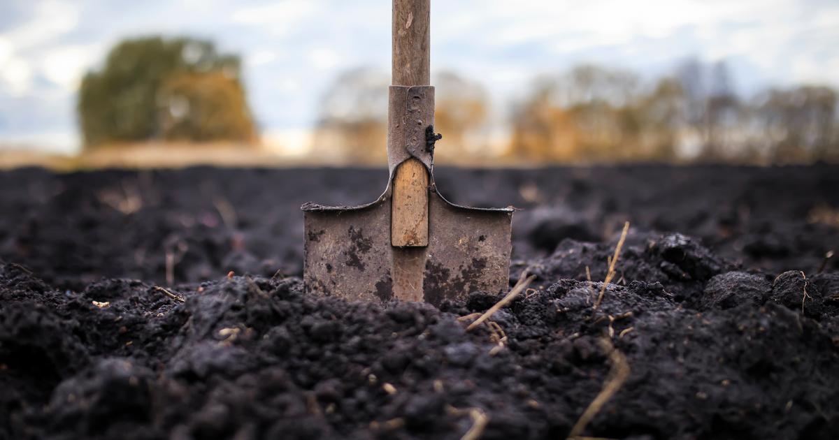 Enriching your garden soil Love The Garden