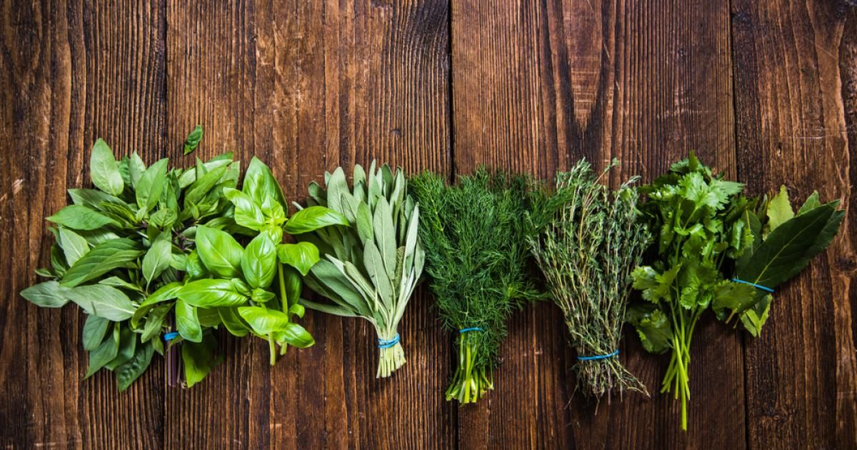 Quand et o planter des herbes aromatiques ou aromates ? | La Pause Jardin