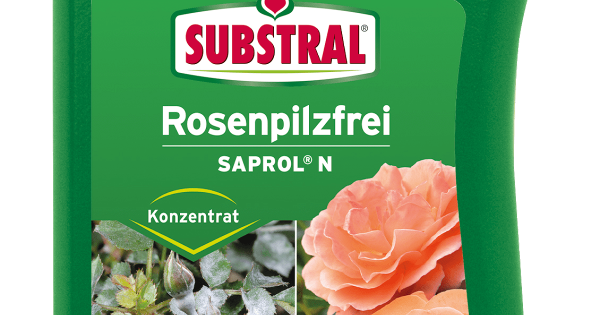 Rosenpilzfrei SAPROL N Konzentrat, 500 ml Liebe Deinen Garten DE