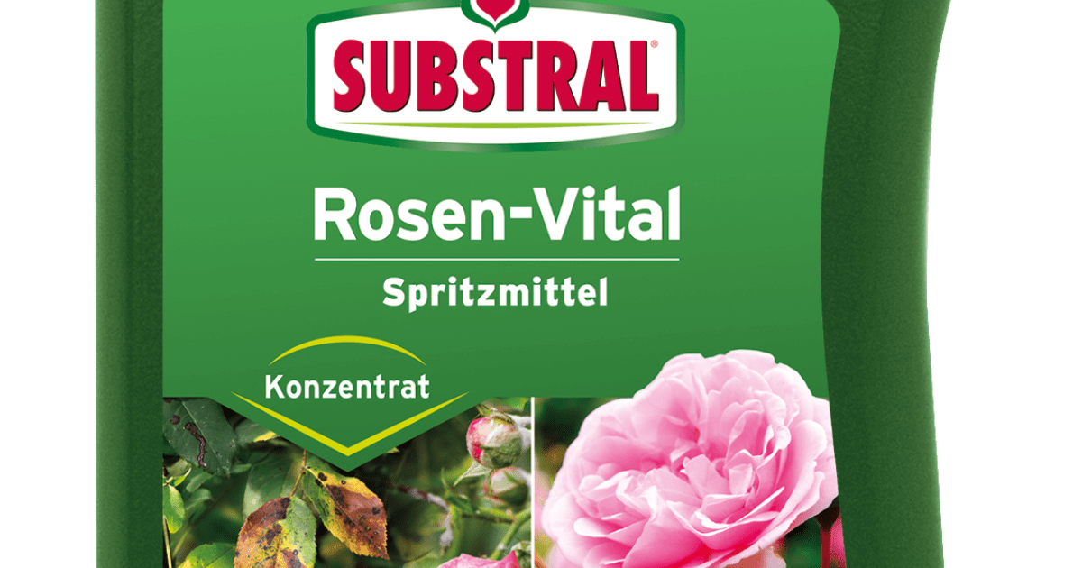 42+ Substral Rosen Und Blühsträucher Dünger, Die wirkungsdauer