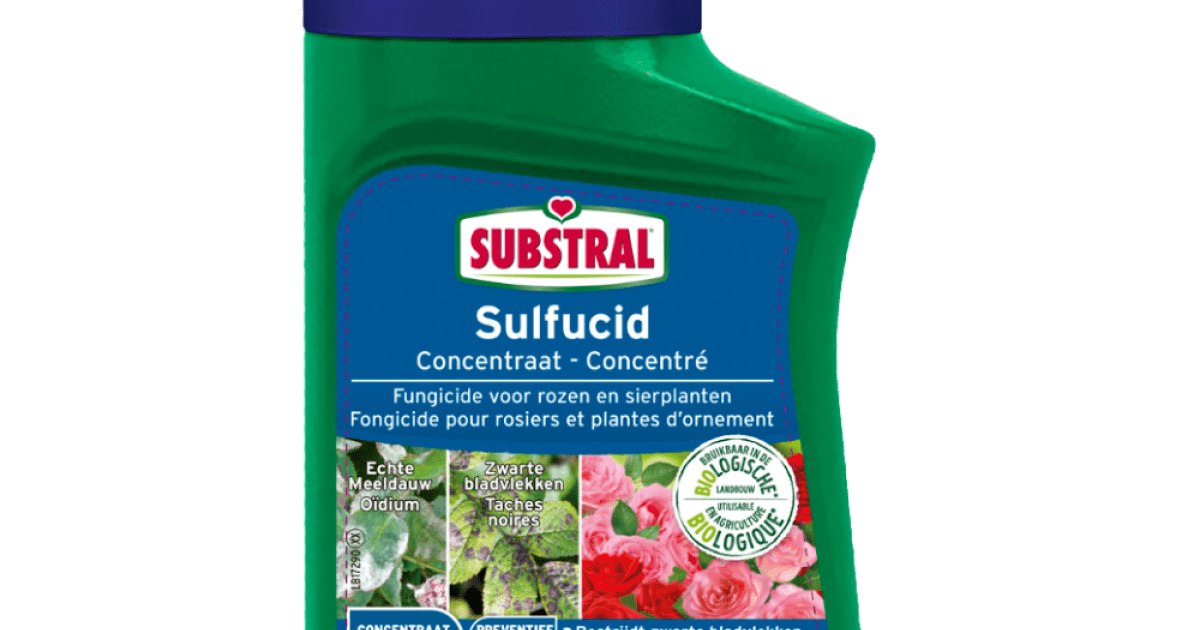 Pokon Bio Kuur voor weerbare en gezonde planten concentraat 500 ml Pokon Bio Kuur voor weerbare en gezonde planten concentraat 500 ml