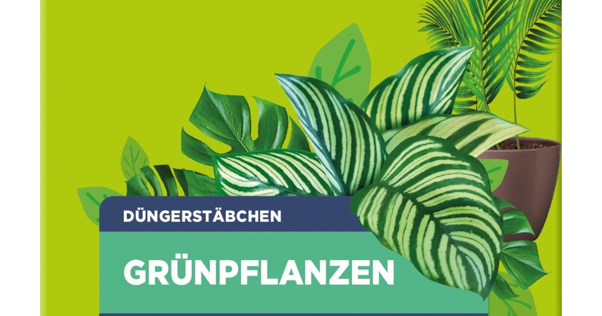 SUBSTRAL Grnpflanzen Dnger-Stbchen, 60 St. | Liebe Deinen Garten DE
