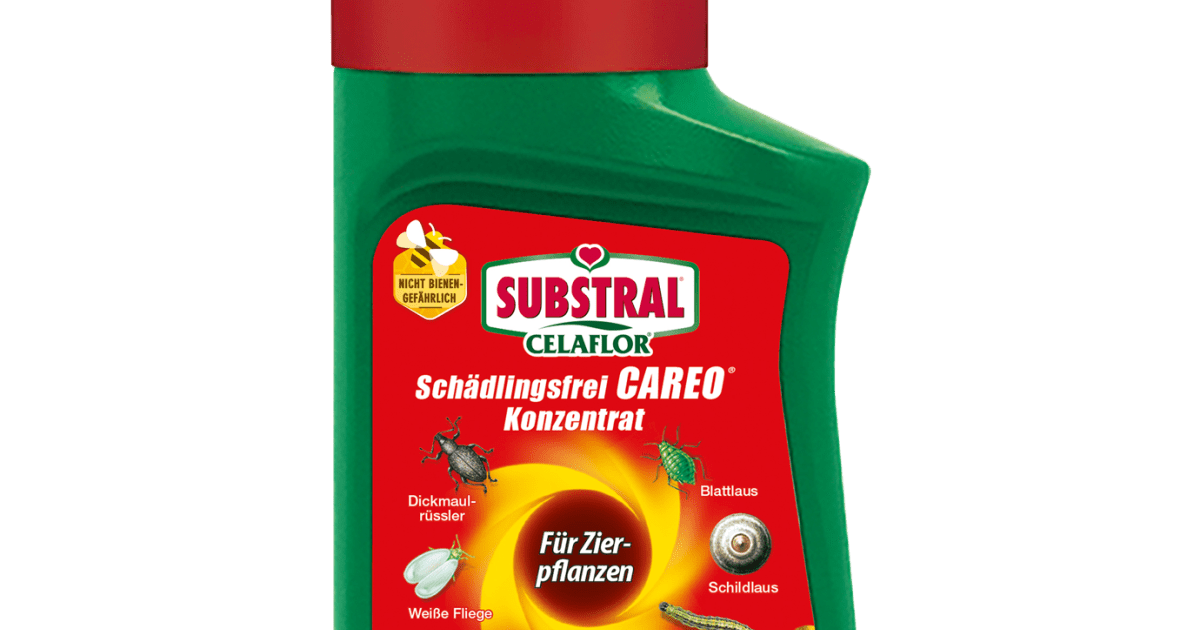 30+ Celaflor Careo Zierpflanzen 250 Ml, 19 angebote zu celaflor careo