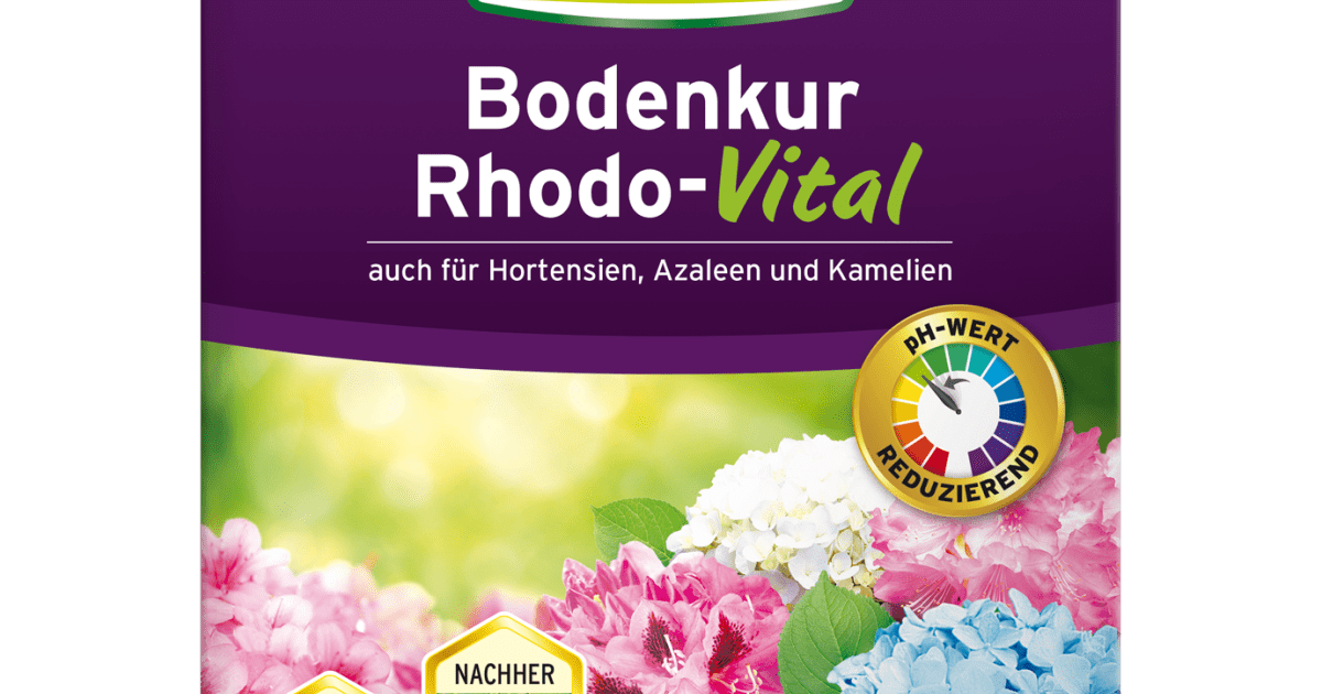 edeltanne künstlich Pazifische Edeltanne, Nobilis-Tanne (Abies procera - nobilis) online kaufen  bei HS Baum main image 0
