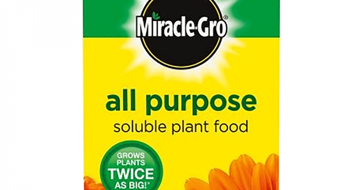 Miracle-Gro® All Purpose Soluble Plant Food , 500g Box | Love The Garden
