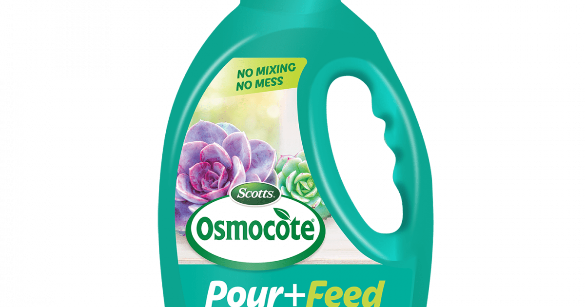 Scotts Osmocote® Pour+Feed Cacti & Succulents Indoor Plant Liquid