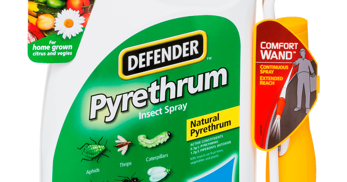 Insect spray store for plants