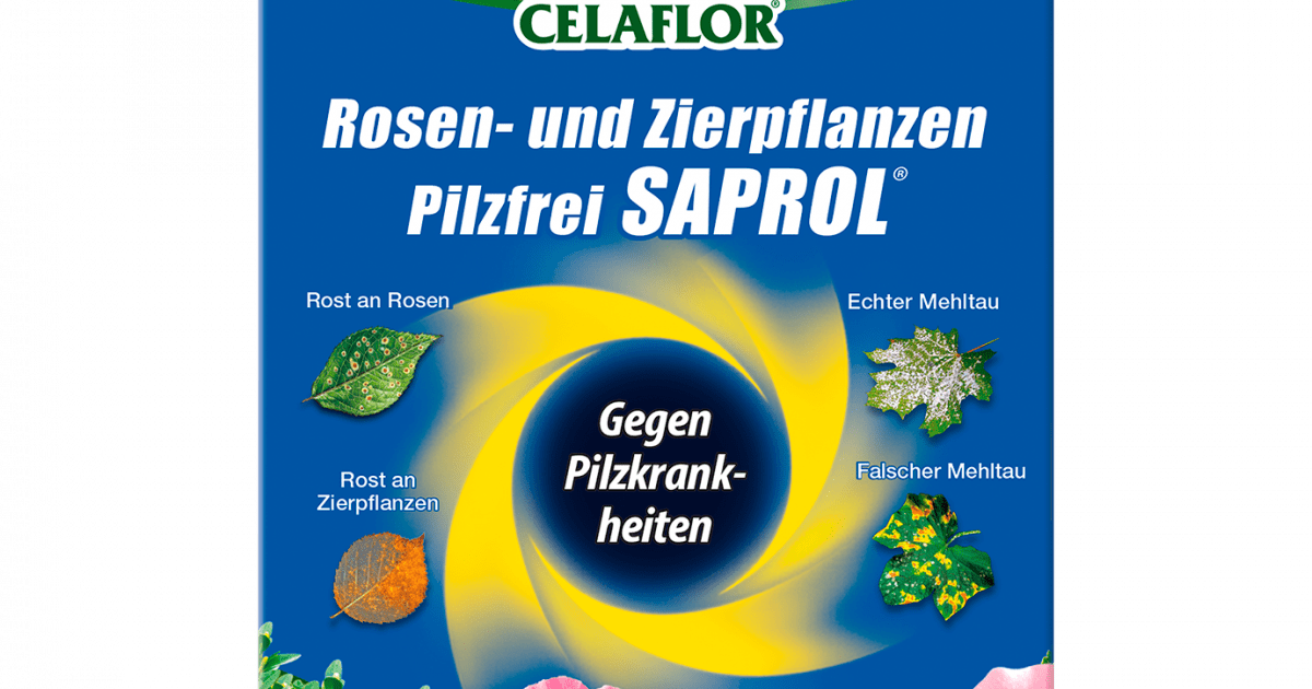 SUBSTRAL® Celaflor® Rosen und Zierpflanzen Pilzfrei Saprol, 4 x 4 ml