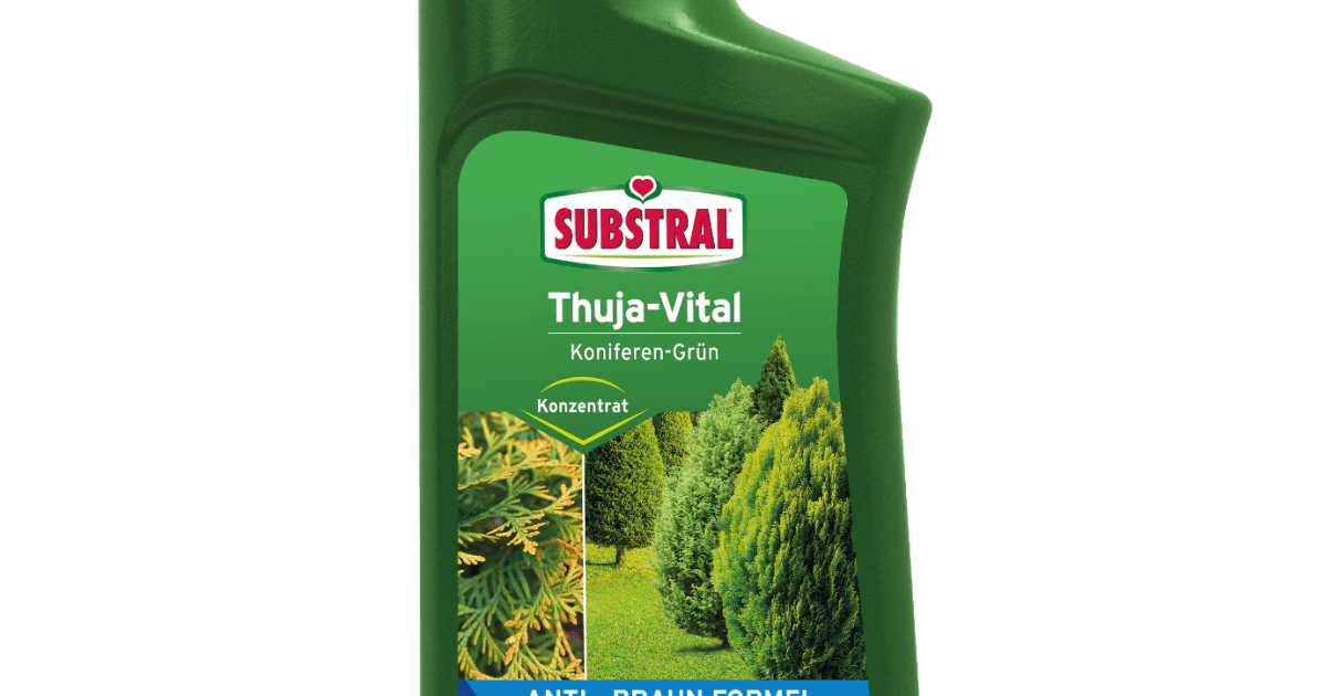 thuja überdüngt Thuja Dünger flüssig - Für gesunde Thuja Pflanzen! main image 1