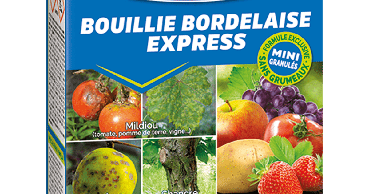 Bouillie Bordelaise Granules Solubles 700g La Pause Jardin