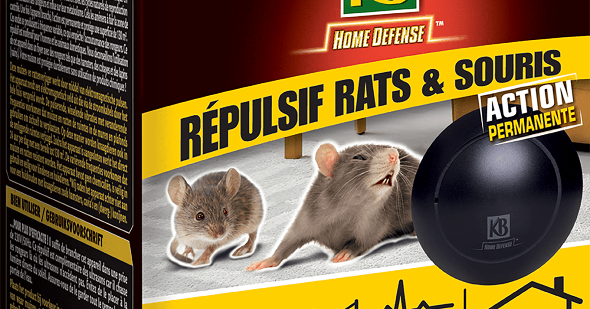 KB Home Defense ® Répulsif rats et souris électromagnétique, 1 pièce