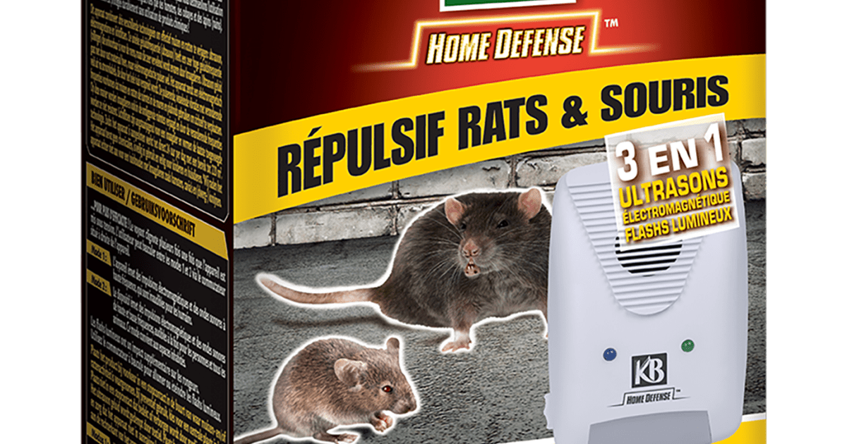 KB Home Defense ® Répulsif rats et souris électromagnétique, 1 pièce