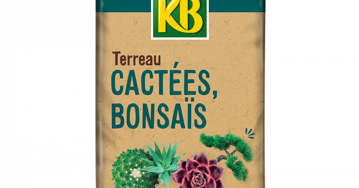 KB terreau cactées bonsaïs et plantes grasses, 6 L La Pause Jardin