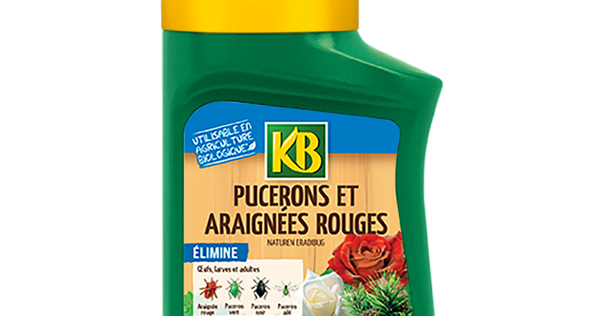 KB pucerons et araignées rouges, 250 ml La Pause Jardin — free download