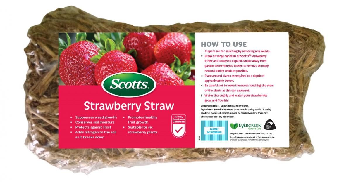 Do Strawberries Need Straw?