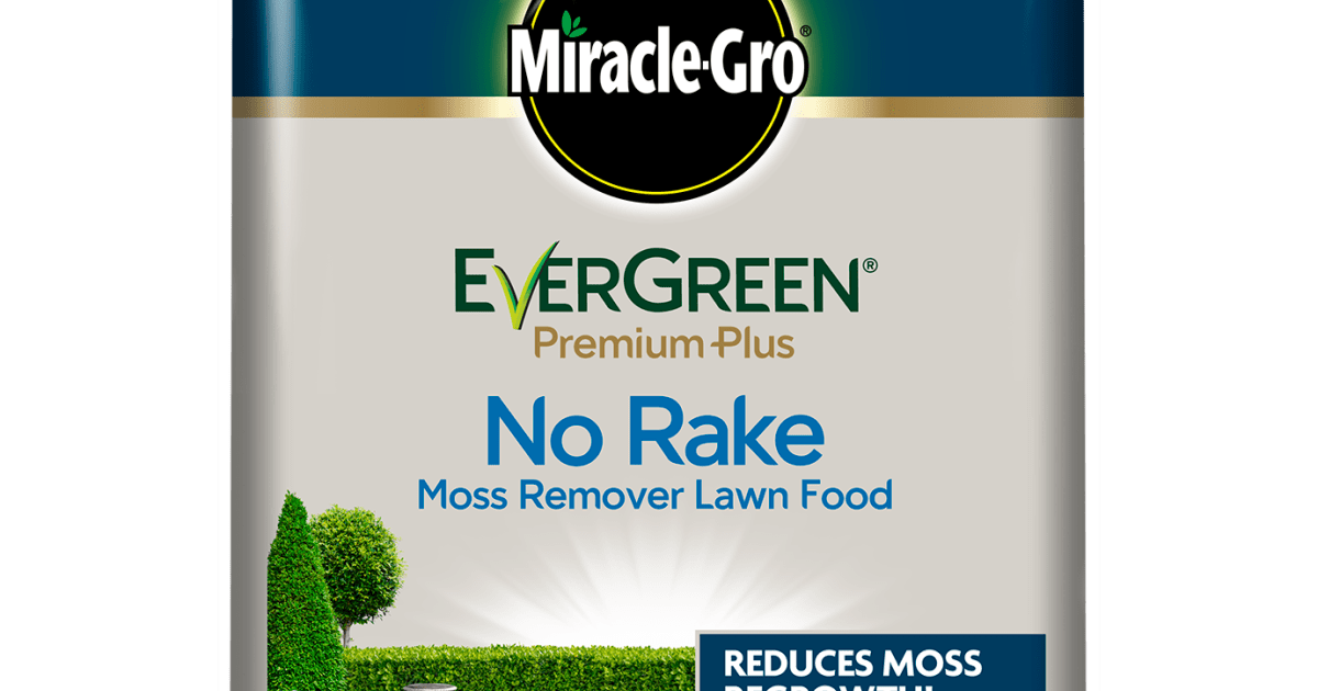 Miracle gro clearance evergreen no rake