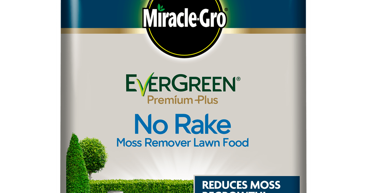 MiracleGro® EverGreen® Premium Plus No Rake Moss Remover Lawn Food 5kg bag