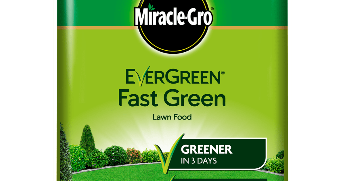 Miracle gro sales lawn feed