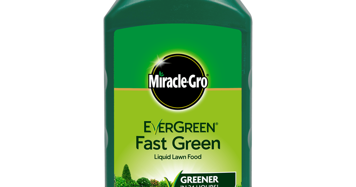 Miracle-Gro® EverGreen® Fast Green Liquid Concentrate, 1 litre | Love