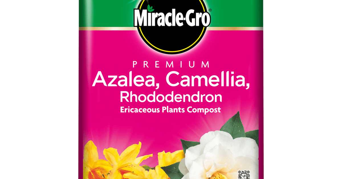 Miracle-Gro® Premium Azalea, Camellia & Rhododendron Ericaceous Compost