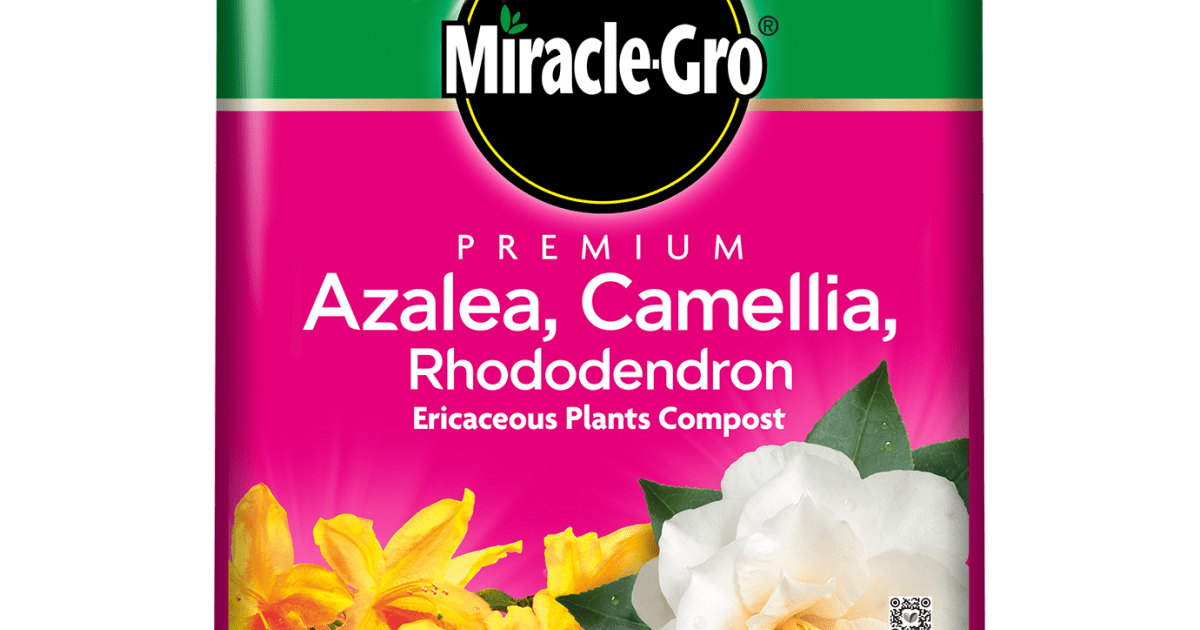 Miracle-Gro® Premium Azalea, Camellia & Rhododendron Ericaceous Compost