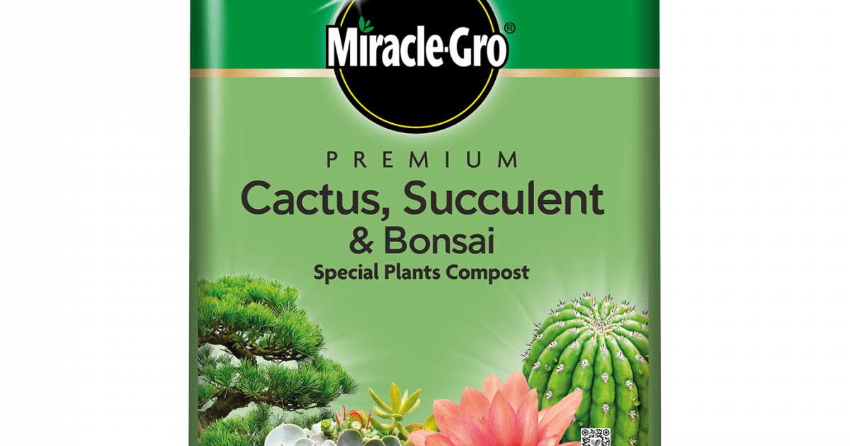 Miracle-Gro® Premium Cactus, Succulent & Bonsai Compost, 6 ...