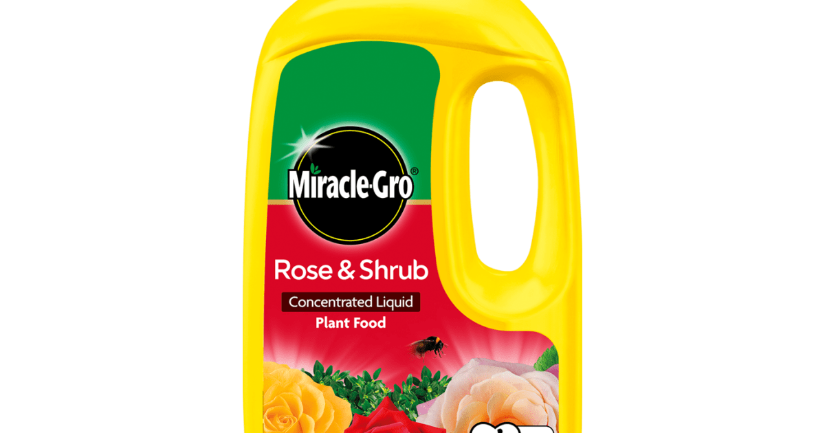 Miracle gro liquid cheap