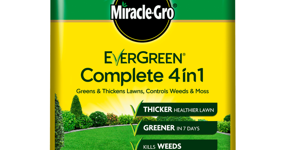 Best weed and feed deals for lawns