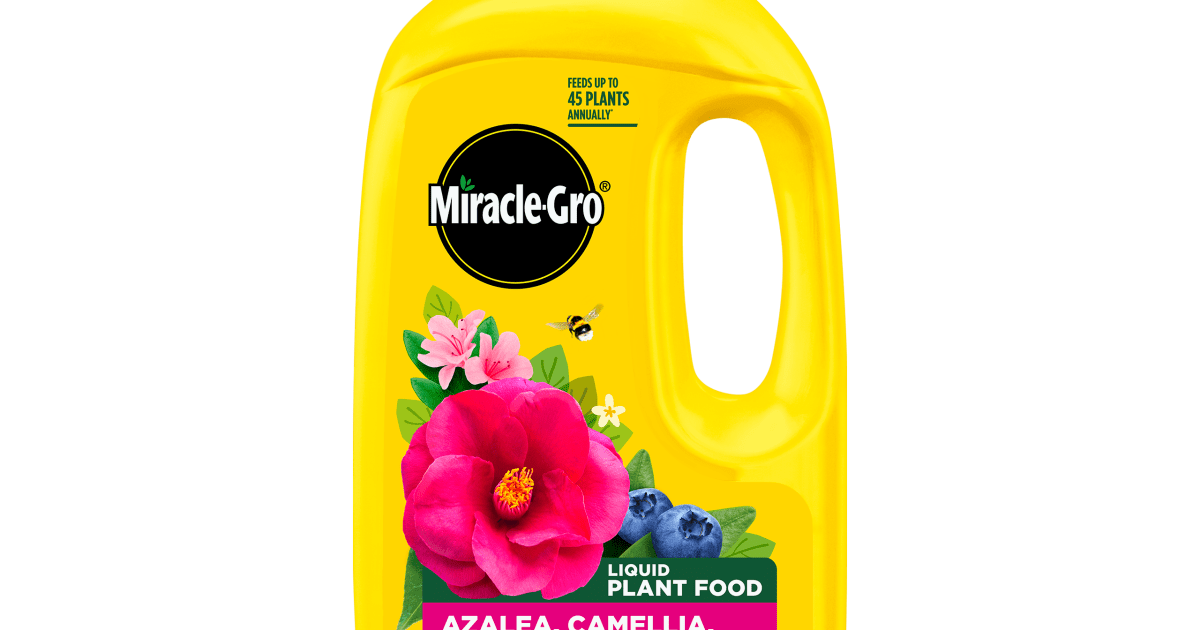 Miracle-Gro® Liquid Plant Food - Azalea, Camellia, Rhododendron 800ml