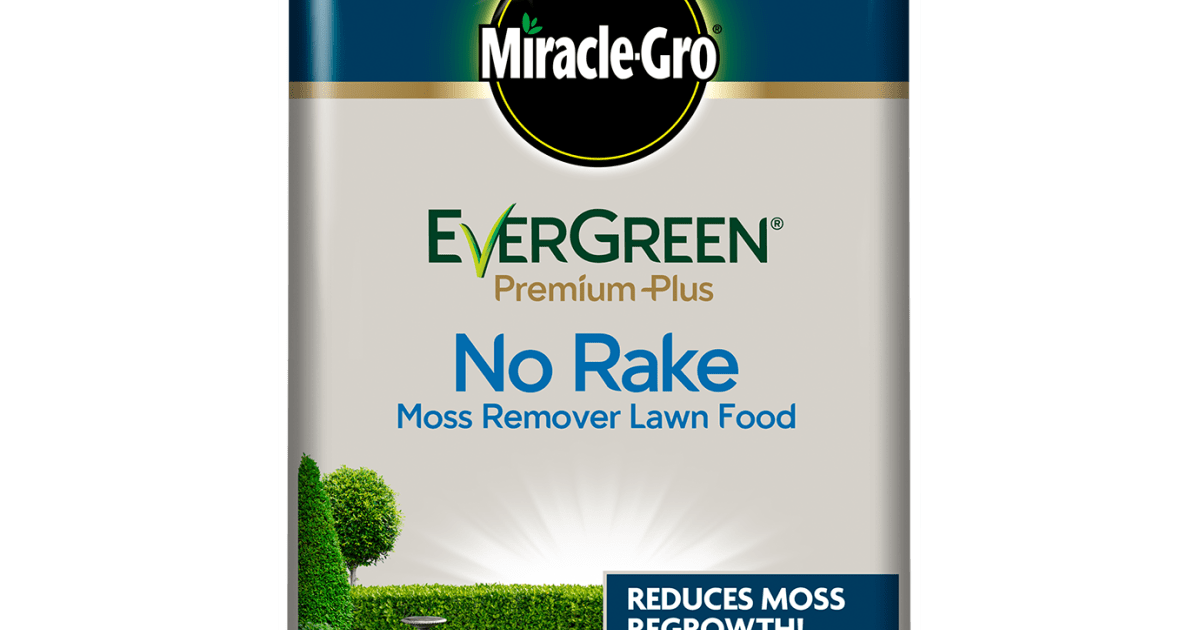Miracle Gro EverGreen Premium Plus No Rake Moss Remover Lawn Food 20kg bag