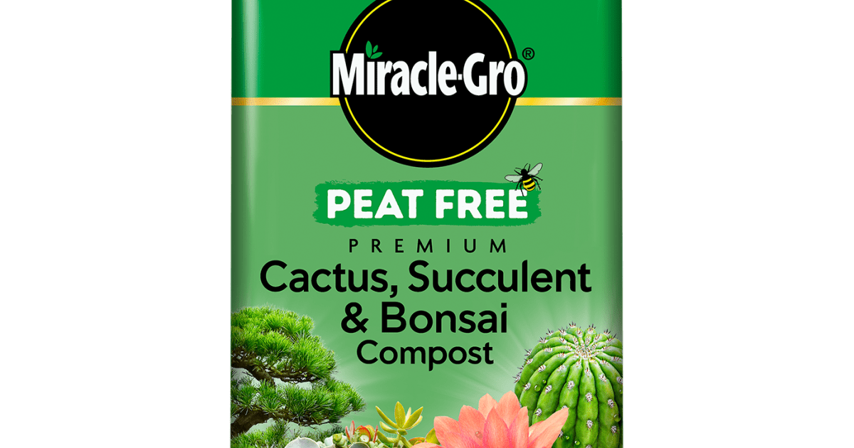 Miracle-Gro Peat Free Premium Cactus & Bonsai Compost 10 litres