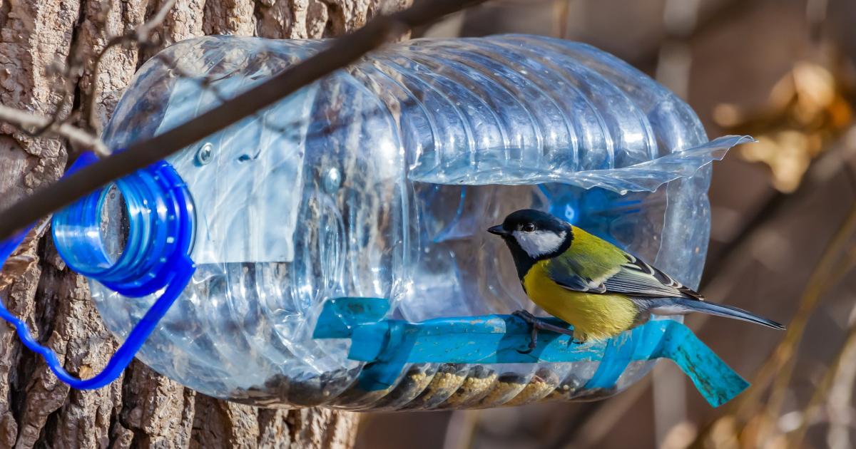 How to Make a Bird-feeder From Water-bottles! (tutorial/instructions)