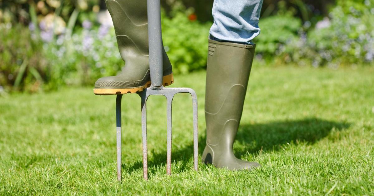 Lawn Aeration How And When to Aerate for a Healthy Lawn