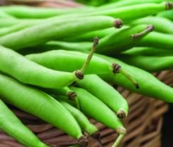 How to Grow French Beans 