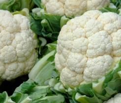 How to grow & care for cauliflower
