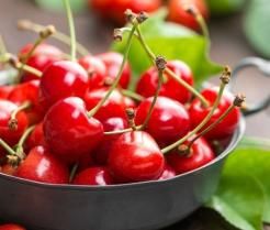 How to grow & care for cherry trees