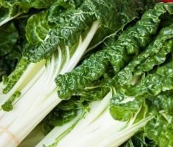 How to grow & care for silverbeet