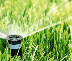 Rasen wird bewässert